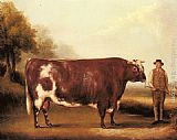 Roan Canvas Paintings - A Dark Roan Bull
